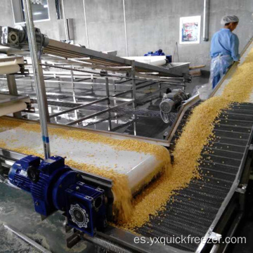 Congelador fluidizado de túnel IQF para fruta.